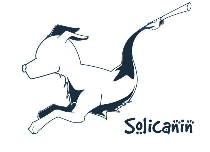 Association Solicanin