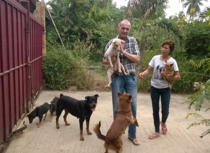 Gemeinsam das Leben von 400 Hunden retten!