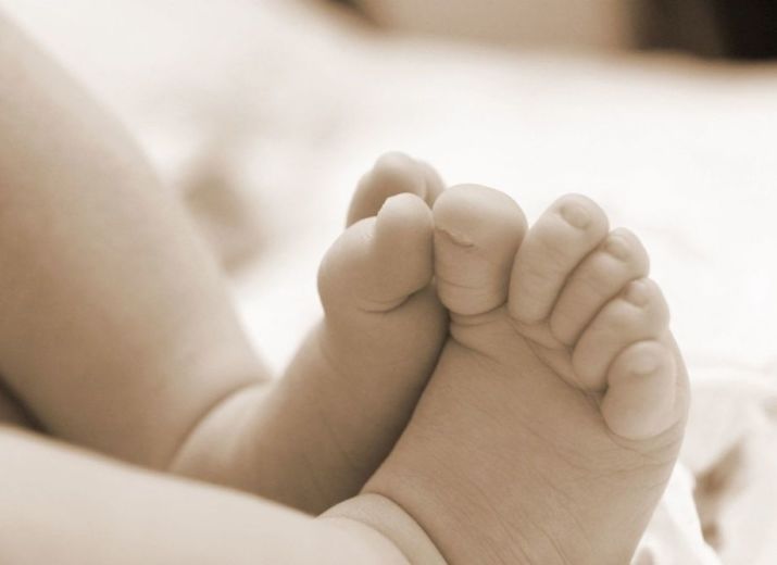 Du lait pour les bébés sans-abri