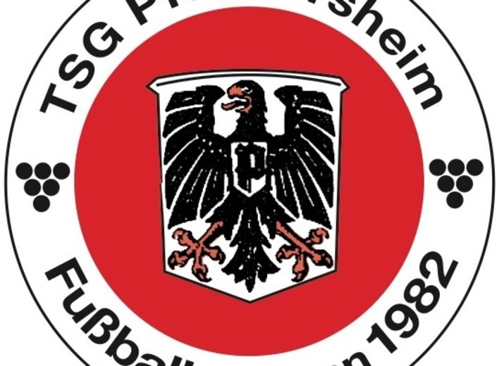 Kunstrasen für die Jugendabteilung der TSG Pfeddersheim Fussball e.V.