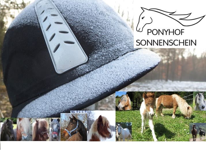 Winterfutter für die Sonnenschein-Ponys