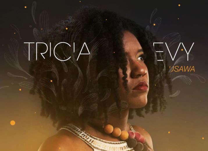 Tricia Evy - Album Usawa