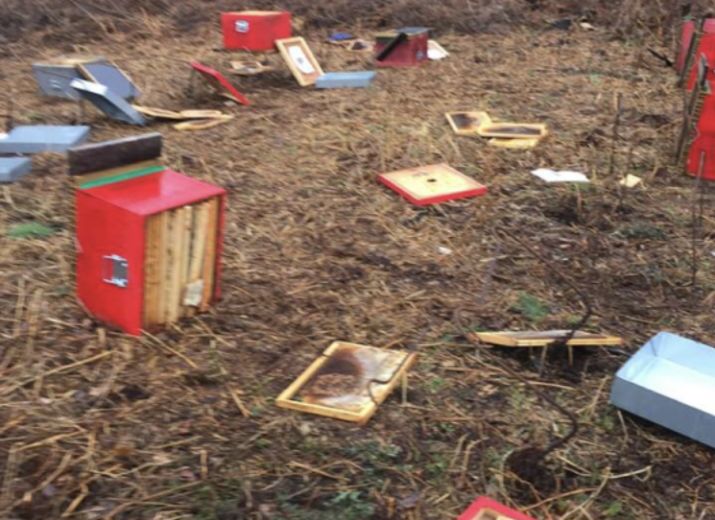 Aider Morbihan apiculture à remettre ses rucher en ordre
