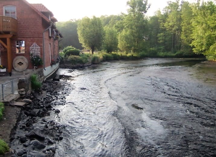 Ökologische Durchlässigkeit der Neetze in Thomasburg