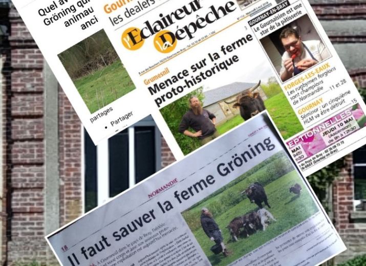 Sauver la Ferme Gröning et sa centaine d'animaux proto-historiques