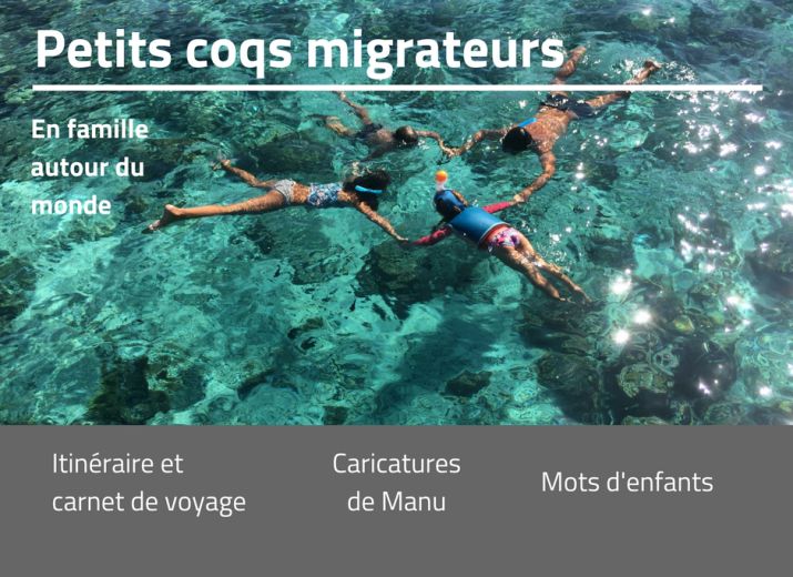 Petits Coqs Migrateurs pour DIDA (D'ici et d'ailleurs)