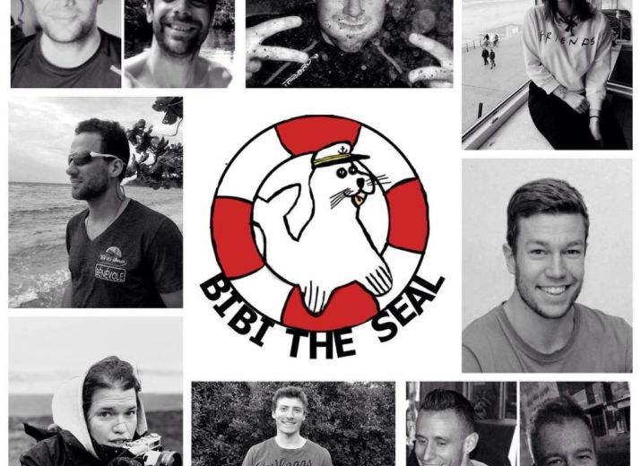 Bibi the seal