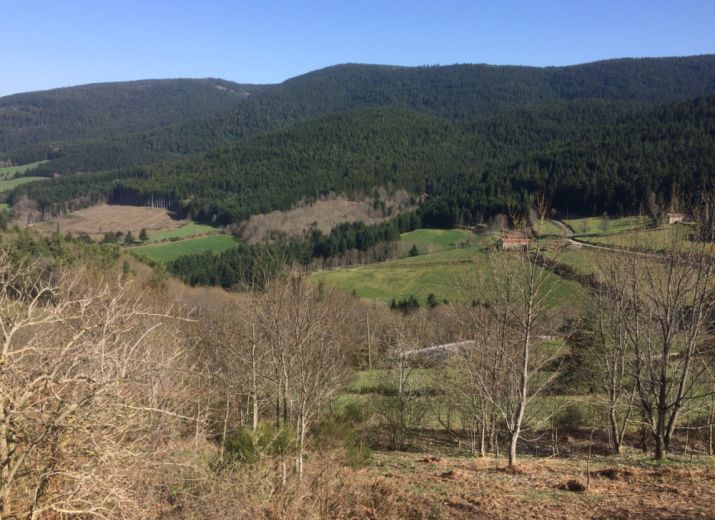 Sauvons la Forêt de Taillard