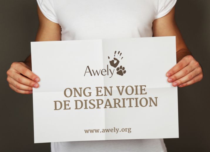 Soutien à Awely, ONG en voie de disparition
