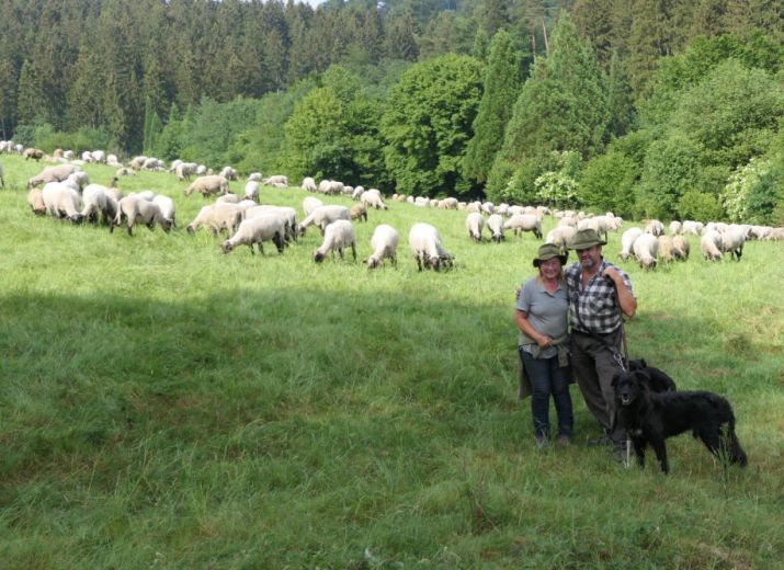 Wir unterstützen ein in Not geratenes Wanderschäfer-Ehepaar / Wer hilft mit?