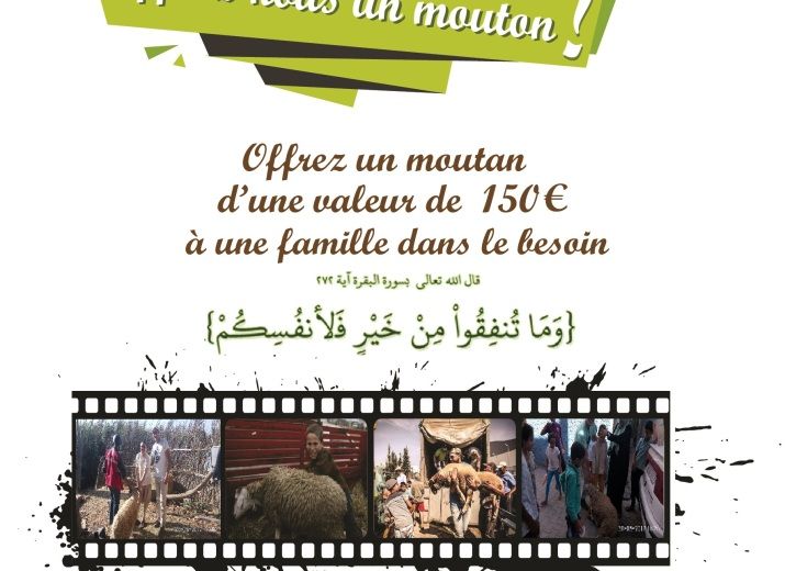 Collecte de fonds pour distribuer des moutons pour Aïd Al-Adha 2018