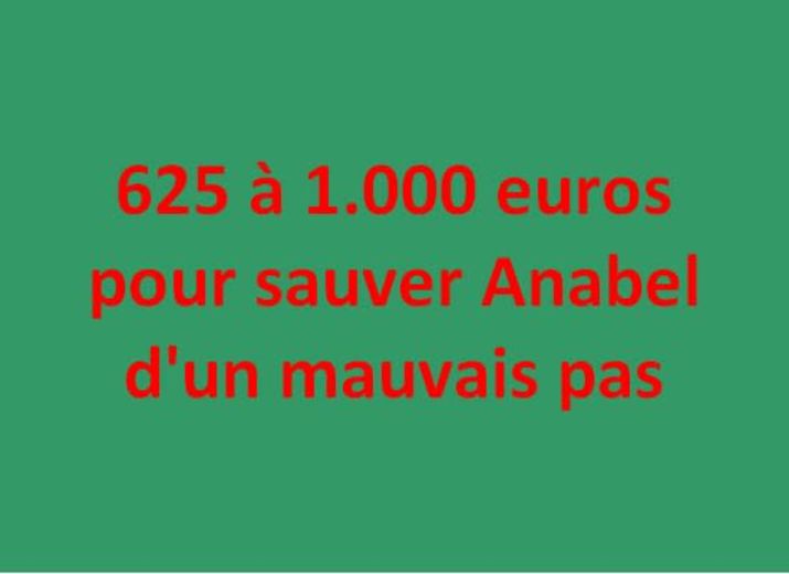 625 à 1.000 euros pour sauver Anabel d'un mauvais pas