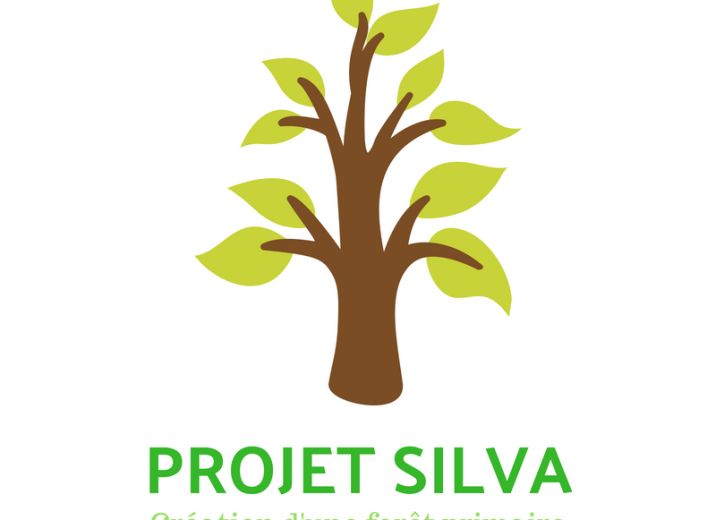 PROJET SILVA
