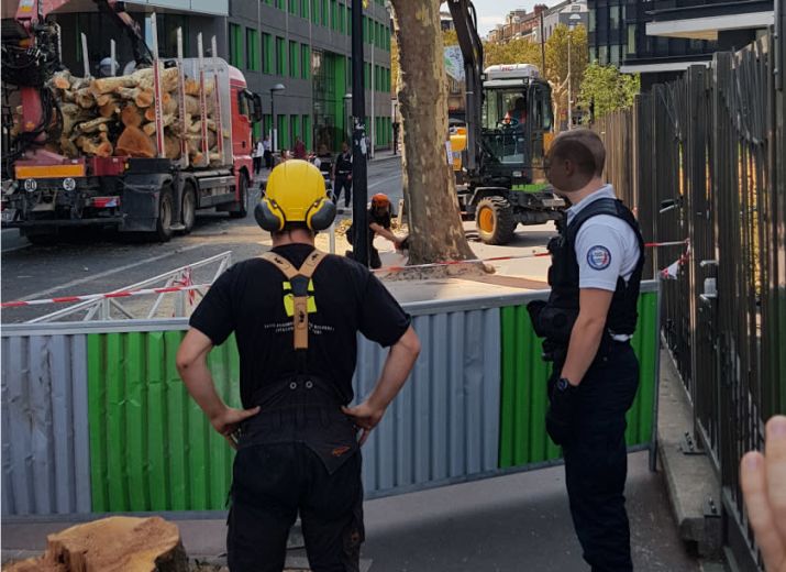 Massacre à la tronçonneuse: Projet Jean Jaurès à Montrouge