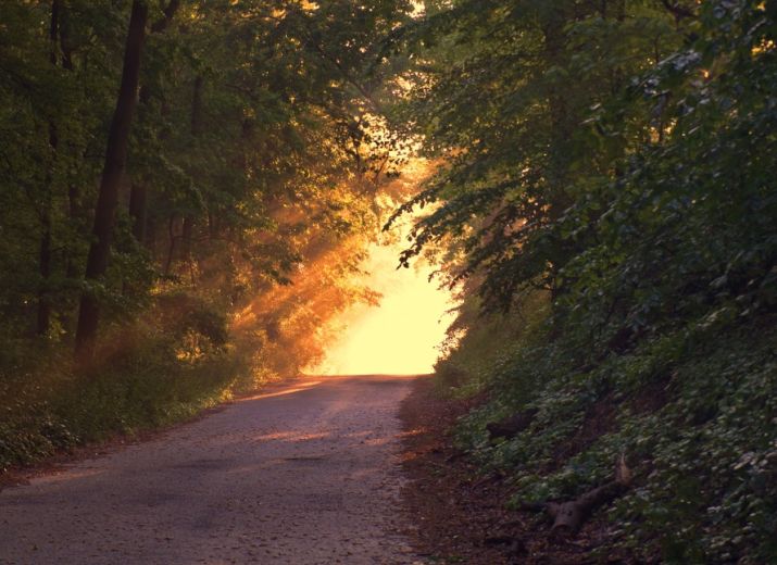 A Way Can Awaken