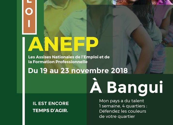 Les Assises Nationales de l'Emploi et de la Formation Professionnelle (ANEFP)