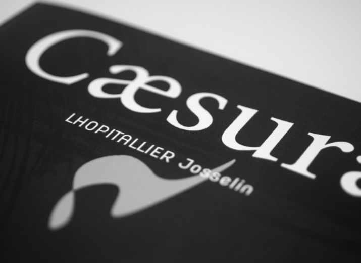 Caesura - Le livre