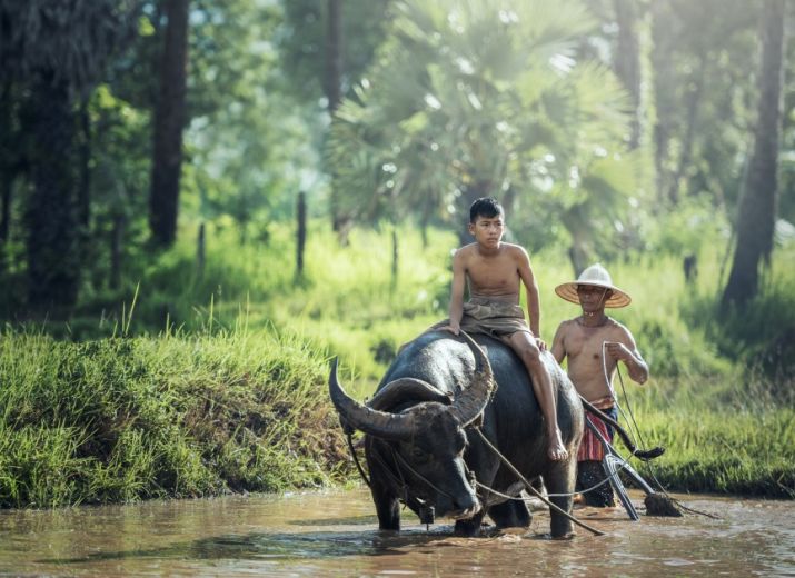 Solidarité BIRMANIE/LAOS