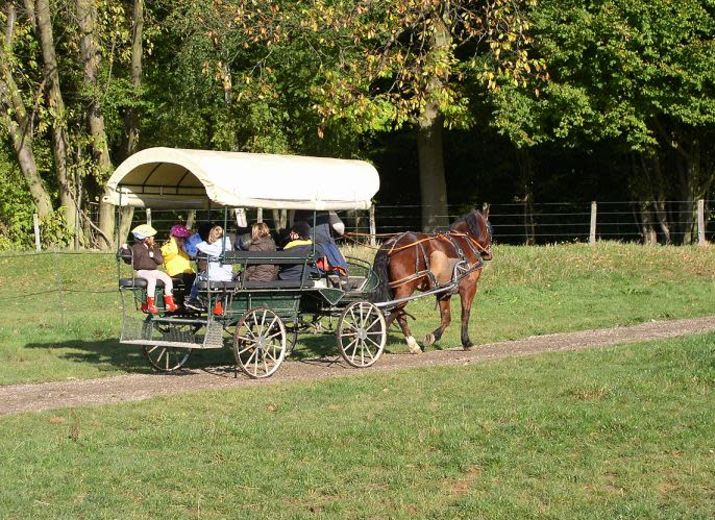 Aller vers les plus faibles avec "Cheval à Domicile"