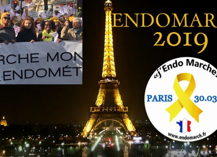 ENDOMARCH 2019
