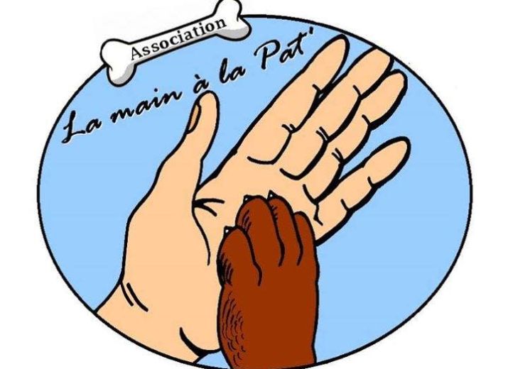 Le refuge Félin de La Main à la Pat'