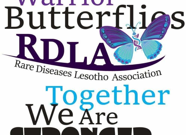 Help The Warrior Butterflies Spread Their Wings