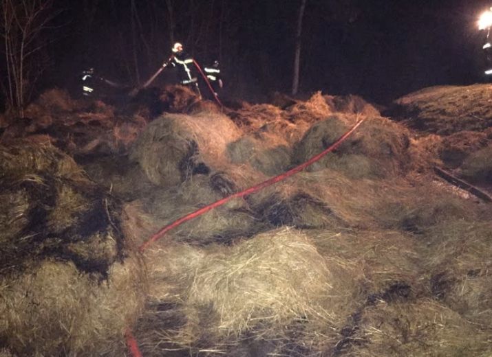Cagnotte solidaire pour racheter du foin suite à un incendie