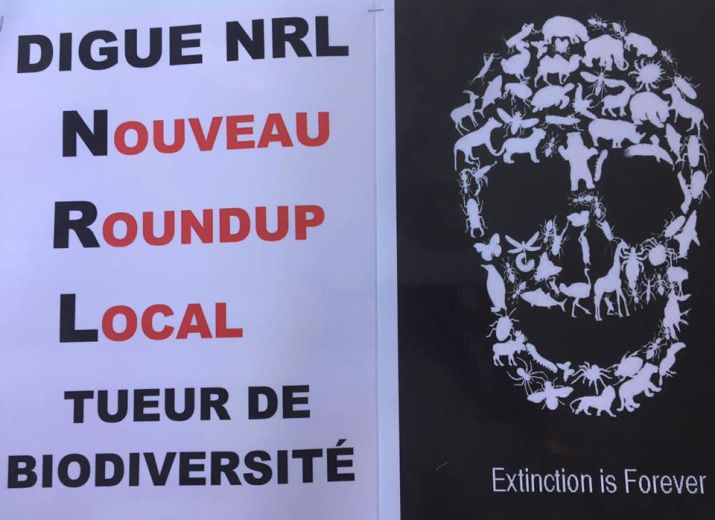 JE PROTEGE MON ÎLE ET SES HABITANTS! NON A LA DIGUE!
