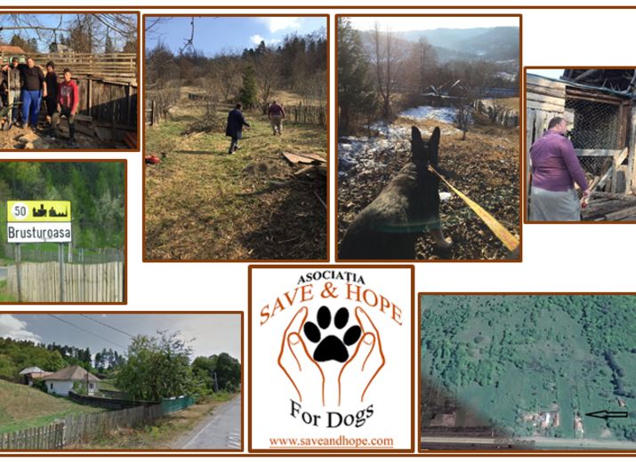 CONSTRUCTION DU REFUGE SAVE POUR LES LOULOUS