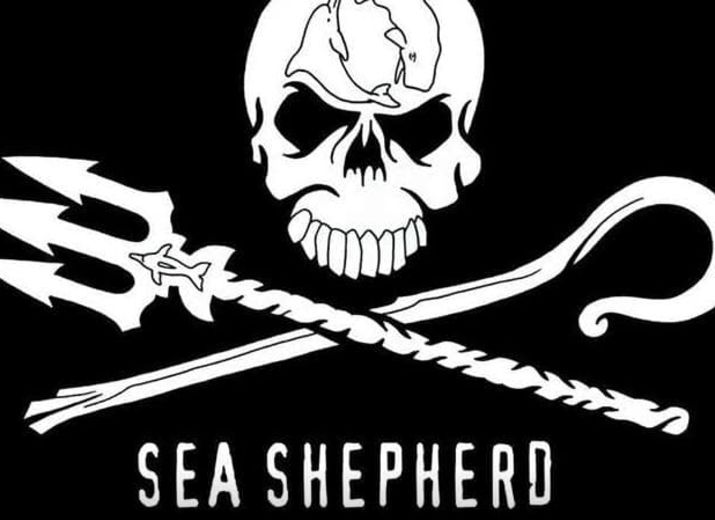 Sea Shepherd à la Baleine - Défendons les Océans !
