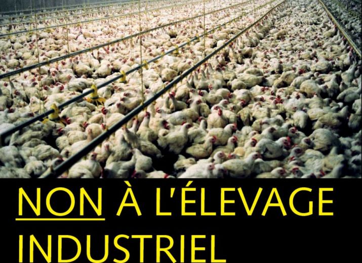 Cagnotte Contre Les Poulaillers Industriel Dans Le Haut Doubs