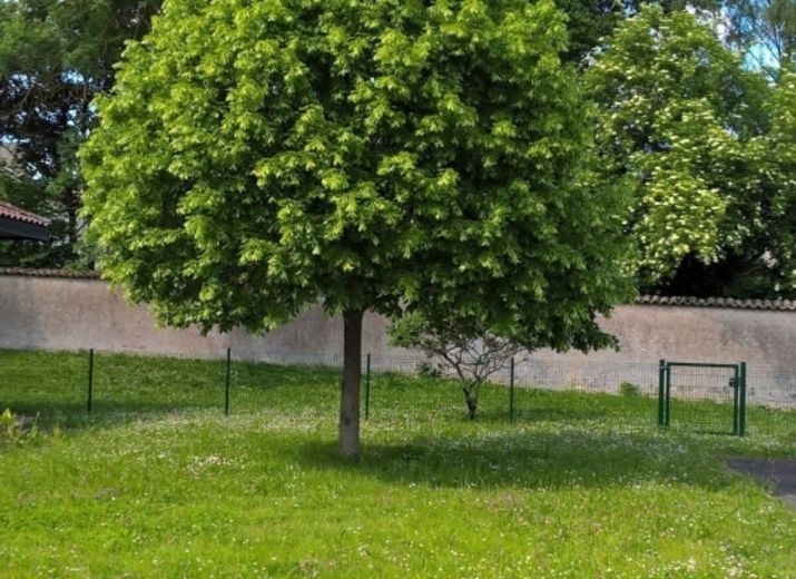 Un jardin pour l'Ehpad des Ombelles à TOUL