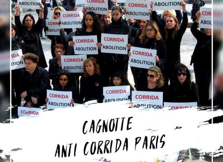 CAGNOTTE ANTI CORRIDA PARIS