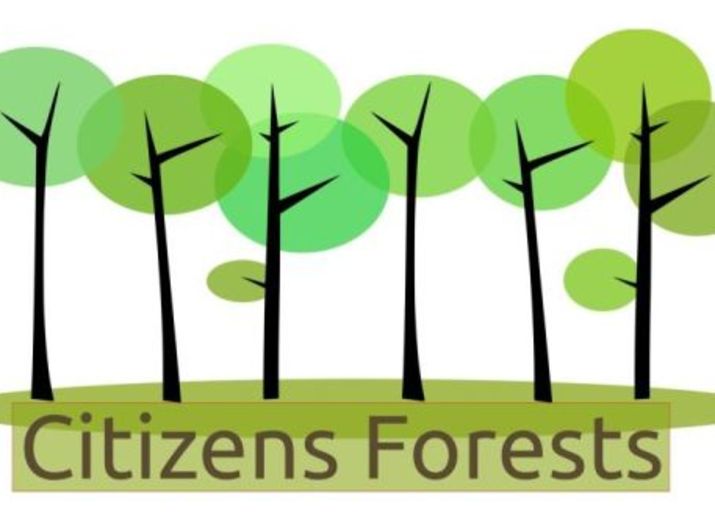 Aufforsten gegen den Klimawandel