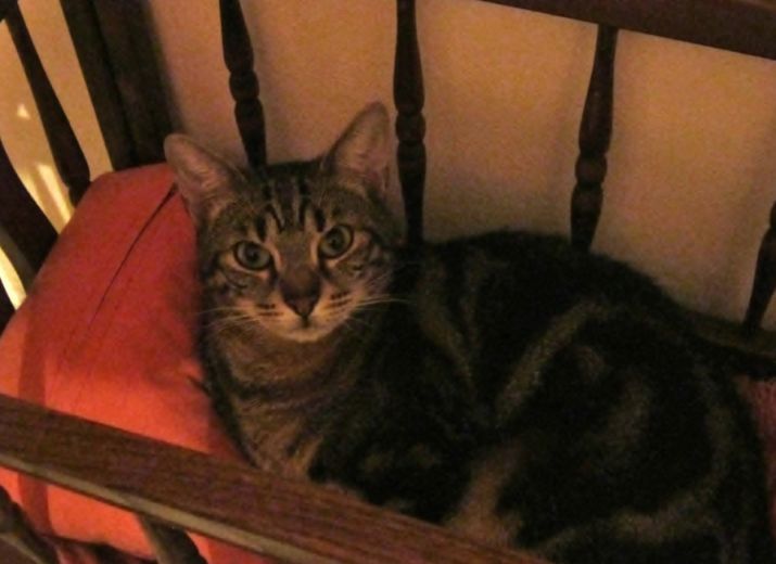 Solidarité pour Gavroche