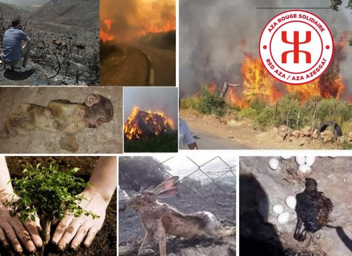 La Kabylie brûle, soyons solidaires