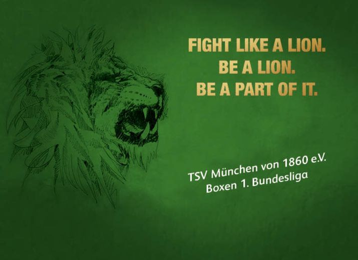 Boxlöwen wollen in die Bundesliga