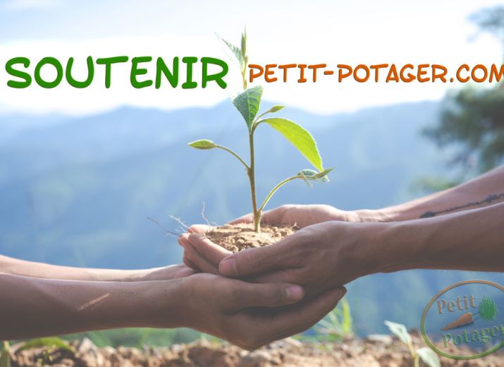 Petit Potager