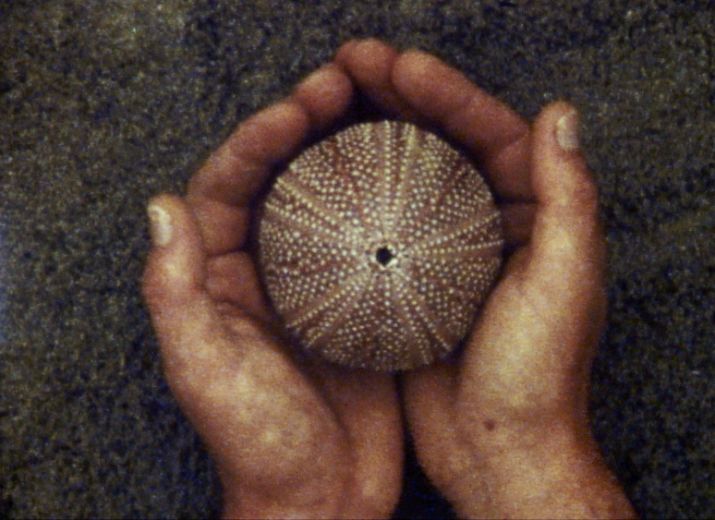 Soutien pour la diffusion du film "les eaux profondes"