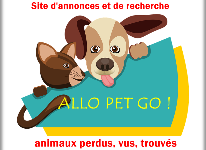 financer la publicité d'animaux perdus, volés