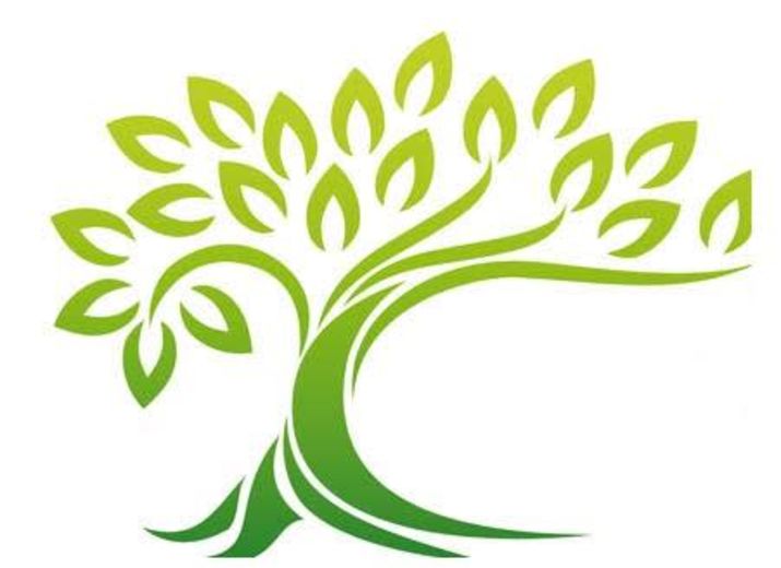 Cagnotte L Arbre De Vie Un Arbre Qui Renait Autrement Leetchi Com Cagnotte L Arbre De Vie Un Arbre Qui Renait Autrement Leetchi Com