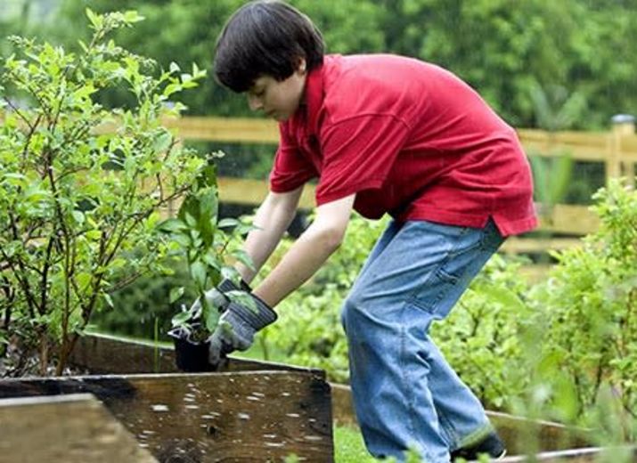 Le jardin du Playgroup