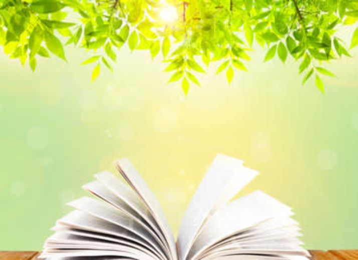 Boite à Livres LPK