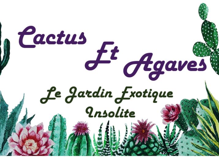 CACTUS ET AGAVES - LE JARDIN EXOTIQUE INSOLITE
