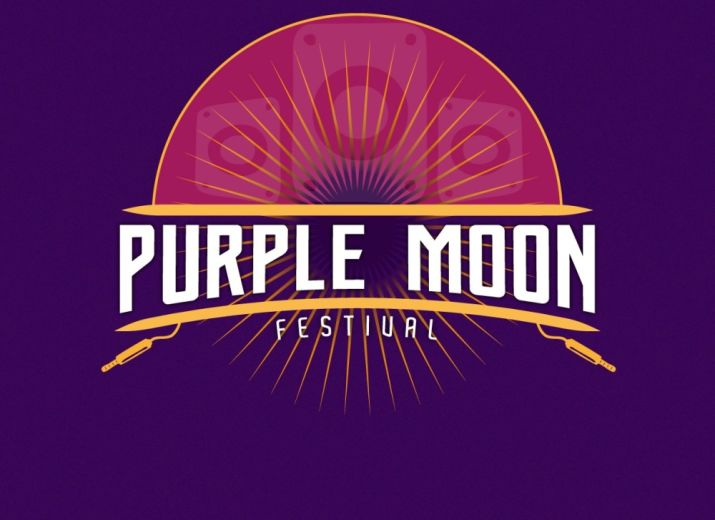 Aide au financement du Purple Moon Festival