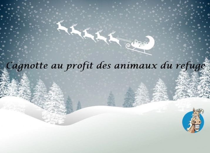Cagnotte de Noël 2019 pour les pensionnaires du refuge SOS Cheval