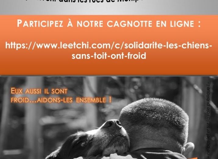 SOLIDARITE : LES CHIENS SANS TOIT ONT FROID