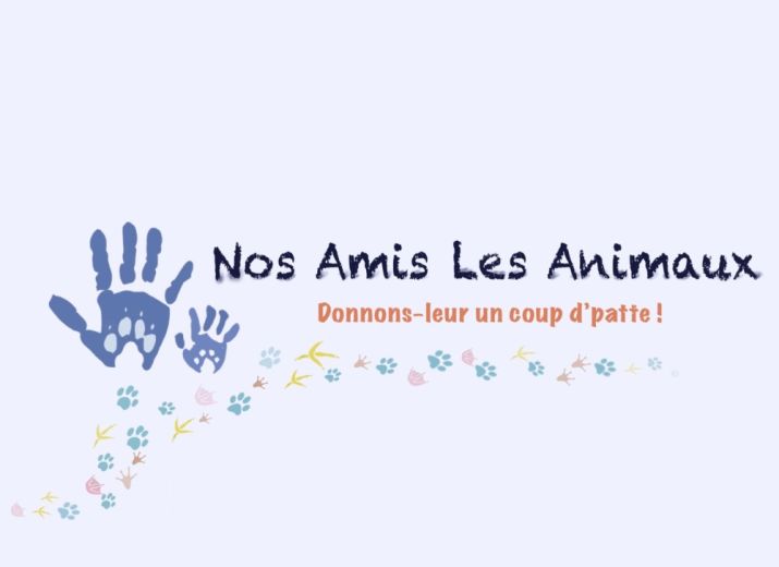 Pets Friends