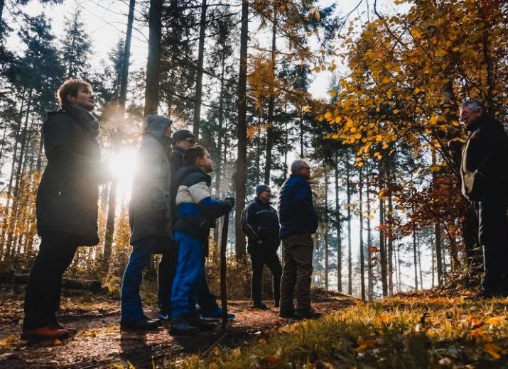 Aufforstung des Krufter Wald