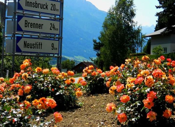 Rosendorf Telfes im Stubai